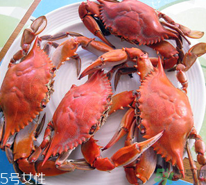 梭子蟹和飛蟹的區(qū)別？飛蟹是梭子蟹嗎？