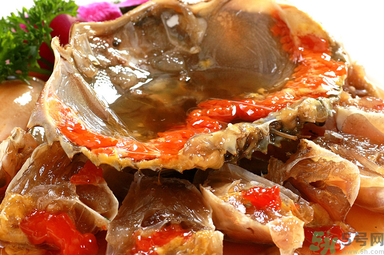 膏蟹是河蟹還是海蟹？膏蟹是什么蟹？