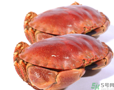 面包蟹多少錢(qián)一斤？面包蟹多少錢(qián)一只？