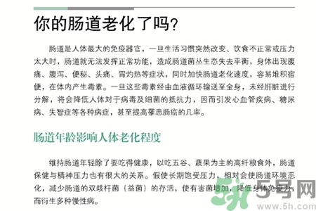 引起腸道老化的原因是什么？四種人腸道老化快