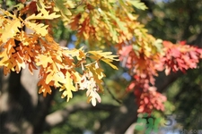 秋燥皮膚癢吃什么好？秋燥4妙招保護(hù)皮膚