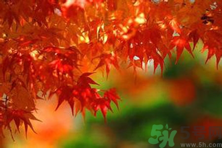 秋燥皮膚癢吃什么好？秋燥4妙招保護(hù)皮膚