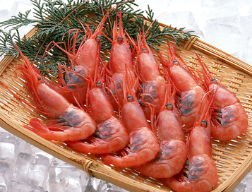 海蝦煮多長時間熟？海蝦怎么煮？