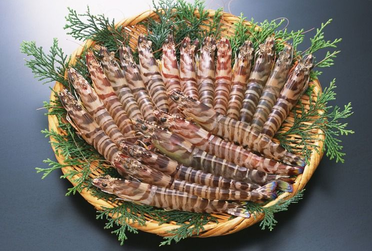 海蝦煮多長時間熟？海蝦怎么煮？