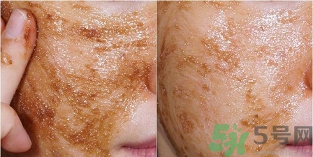 skin food思親膚適合什么年齡？思親膚適合多大年齡？