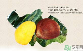 板栗和什么一起泡酒好？板栗泡酒的功效與作用有哪些？