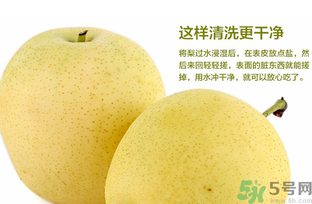 皇冠梨是雪梨嗎？皇冠梨和雪梨的區(qū)別