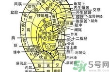 每天揉耳朵有什么好處？?揉耳朵的正確方法是什么？