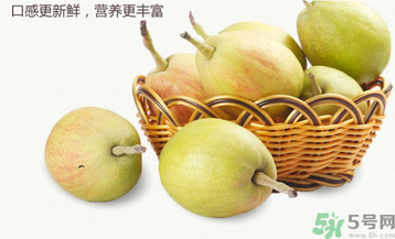 孕婦能吃香梨嗎？香梨孕婦可以吃嗎？