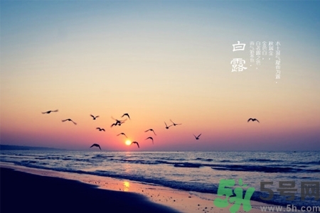 白露節(jié)吃什么？白露節(jié)的傳統(tǒng)美食有哪些？