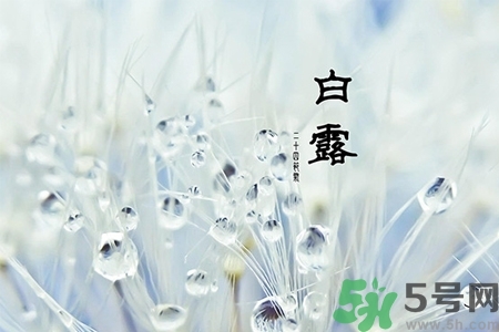 白露節(jié)吃什么？白露節(jié)的傳統(tǒng)美食有哪些？