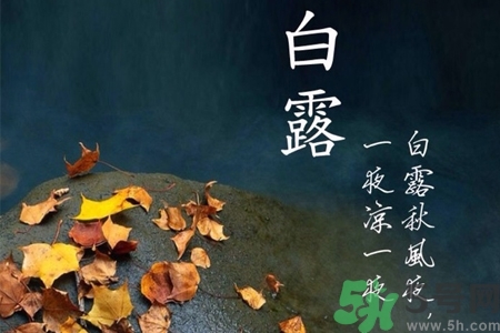 白露節(jié)吃什么？白露節(jié)的傳統(tǒng)美食有哪些？