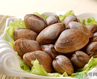 蛤蜊是發(fā)物嗎？手術(shù)后可以吃蛤蜊嗎？