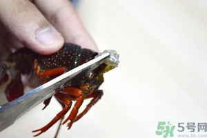 活蝦怎么處理干凈蝦線？活蝦怎么去蝦線？