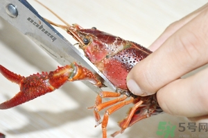 活蝦怎么處理干凈蝦線？活蝦怎么去蝦線？