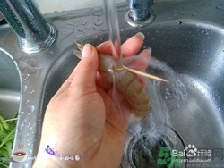 活蝦怎么處理干凈蝦線？活蝦怎么去蝦線？