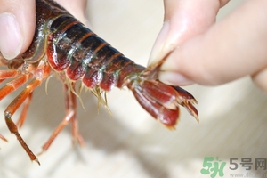 活蝦怎么處理干凈蝦線？活蝦怎么去蝦線？