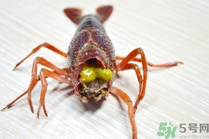 活蝦怎么處理干凈蝦線？活蝦怎么去蝦線？