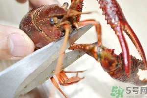 活蝦怎么處理干凈蝦線？活蝦怎么去蝦線？