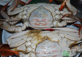 海蟹蒸多長時(shí)間？海蟹蒸多長時(shí)間最好吃？