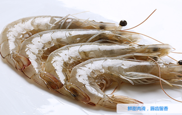 海蝦怎么保存？活海蝦怎么保存？