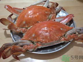 海蟹蒸多長時(shí)間？海蟹蒸多長時(shí)間最好吃？