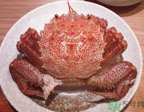 紅毛蟹怎么吃？紅毛蟹怎么做好吃？