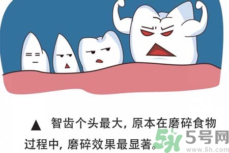智齒一定要拔掉嗎？什么樣的智齒可以不拔？