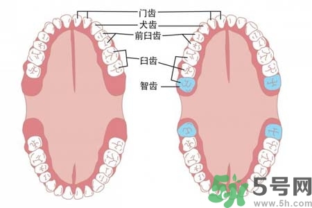 智齒橫著長怎么辦？智齒橫著長一定要拔了嗎？