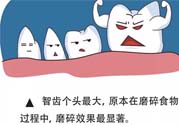 智齒拔了好不好？智齒能不拔嗎？
