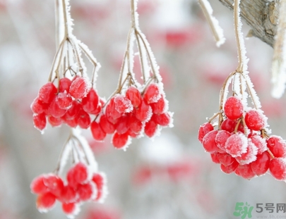 霜降是幾月幾日？霜降是什么意思？