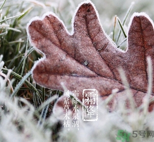 霜降出生的孩子好嗎？霜降出生的寶寶怎么取名？