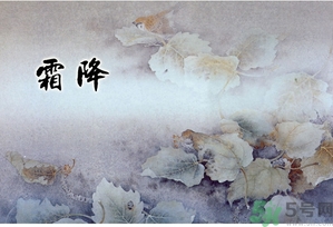 霜降為什么要吃柿子？霜降吃柿子有什么好處？