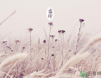 霜降為什么要吃柿子？霜降吃柿子有什么好處？