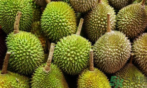榴蓮可以冷凍保存嗎？榴蓮放冰箱是冷藏還是冷凍？