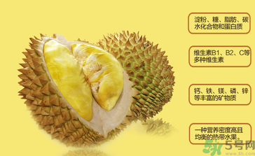 晚上吃榴蓮會(huì)胖嗎？晚上吃榴蓮會(huì)不會(huì)發(fā)胖？