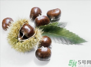 老人能喝板栗酒嗎？板栗怎么泡酒呢？