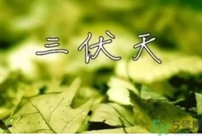 三伏天可以理發(fā)嗎？三伏天為什么不能理發(fā)？
