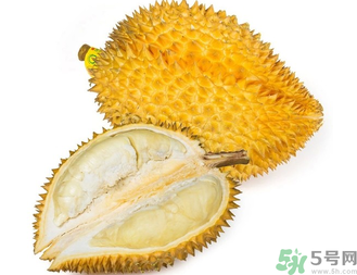 榴蓮早上吃還是晚上吃？早上吃榴蓮好嗎？