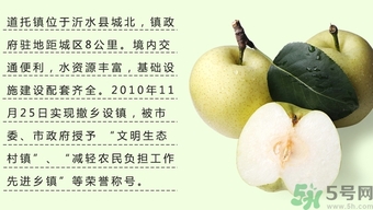 牛心果怎么吃？牛心果的功效和作用
