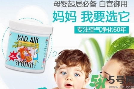 美國(guó)bad air sponge空氣凈化劑多少錢？