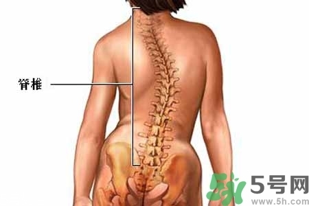 僵直性脊椎炎的癥狀有哪些？怎樣預防僵直性脊椎炎？