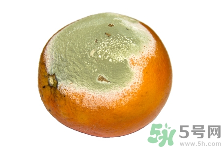 水果發(fā)霉了可以吃嗎？發(fā)霉的水果對人體有什么危害？
