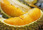 小孩能吃榴蓮嗎？榴蓮小孩能吃嗎？