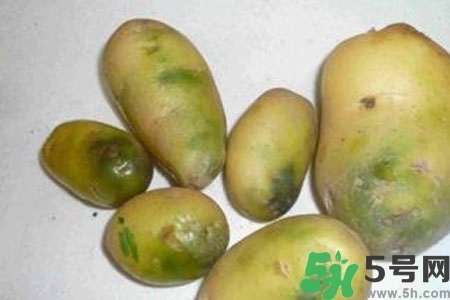 土豆發(fā)綠還能吃嗎？土豆發(fā)綠皮削皮后能吃嗎？