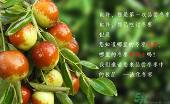 晚上吃棗子會胖嗎？晚上吃新鮮棗子會胖嗎？