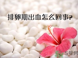 排卵期不懷孕什么原因？排卵期出血