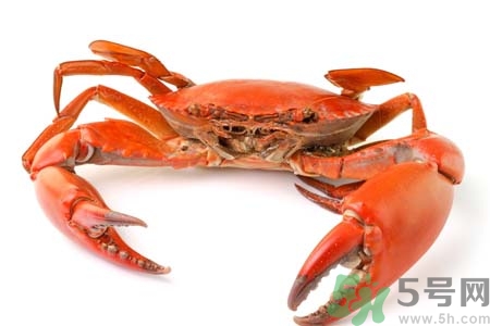 10月吃陽澄湖大閘蟹好嗎？大閘蟹怎么做好吃？