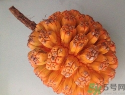 山菠蘿怎么吃？山菠蘿的功效與作用