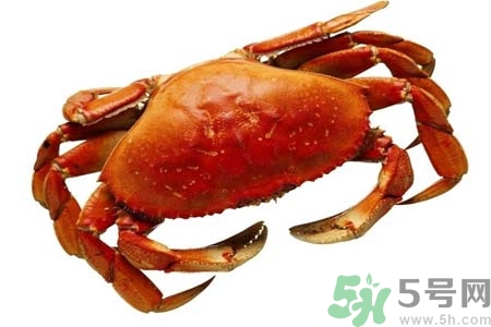 吃螃蟹后眼睛發(fā)暈怎么回事？吃螃蟹眼睛發(fā)暈怎么辦？